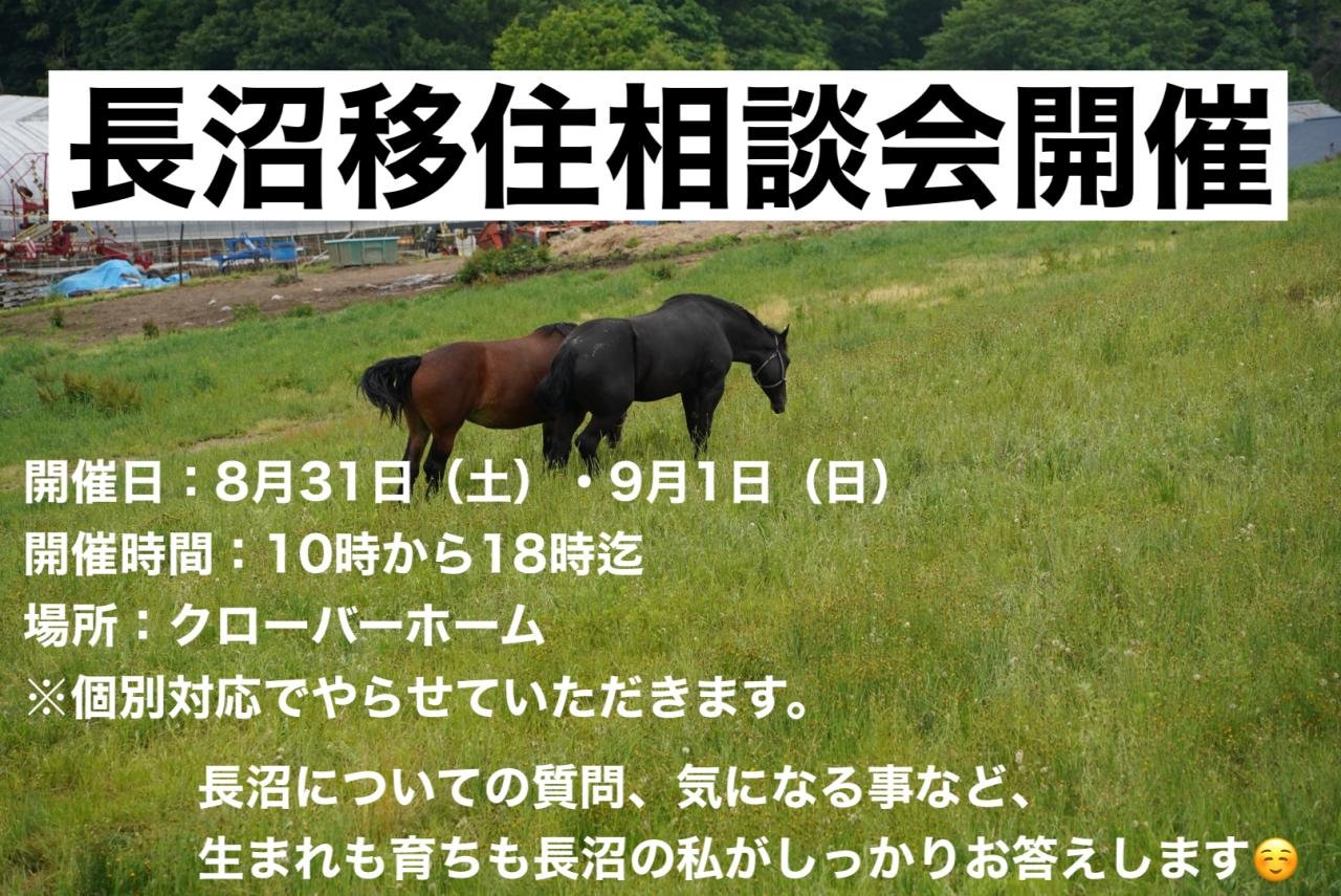 移住相談会